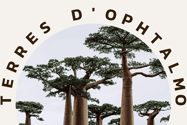 pays ou nous agissons 4 terres d ophtalmo association d ophtalmologistes ong